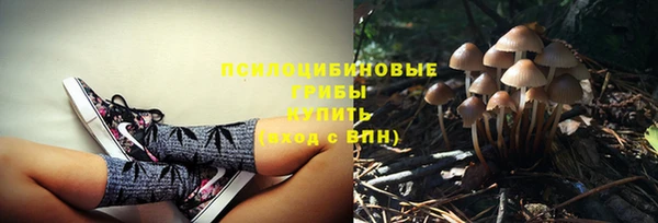 спайс Балабаново