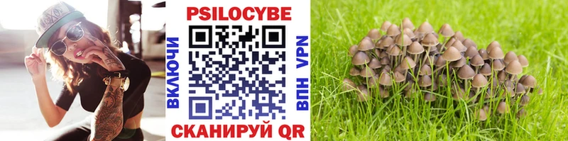 Псилоцибиновые грибы мухоморы Волжск