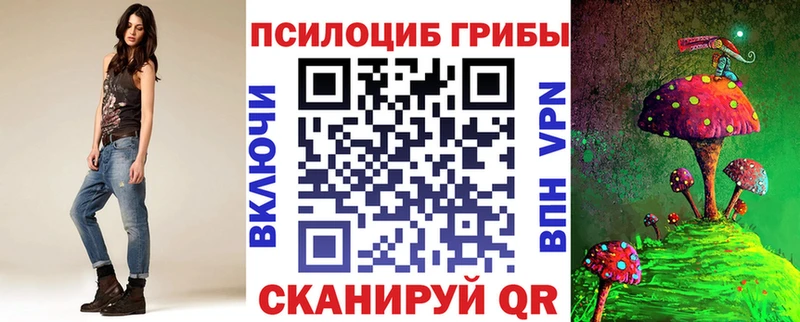Галлюциногенные грибы Psilocybe  Волжск 
